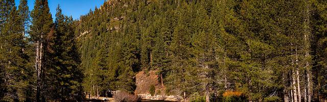 上門龍婿葉辰蕭初然_第3195章 爸的仕途，可就靠你了