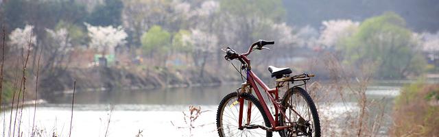 美漫之超級英雄之父繁體免費章節，邀您共賞