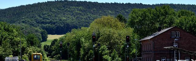 都市神醫葉辰很囂張_第12147章 天木化生