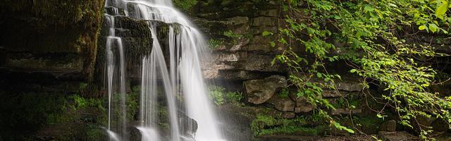 都市神醫葉辰很囂張_第37章 頂級豪宅！
