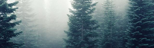 都市神醫葉辰很囂張_第12130章 輪回殺機