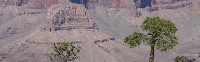 都市神醫葉辰很囂張_第647章 身份（四更！）