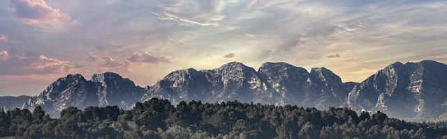 深夜書屋繁體免費章節，邀您共賞