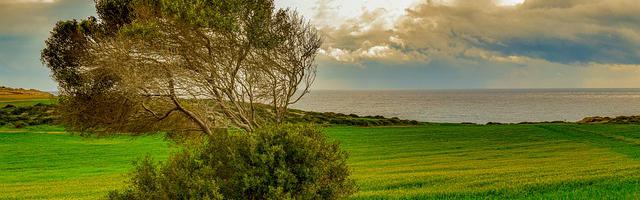 末世獵人繁體免費章節，邀您共賞