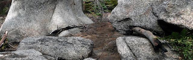 都市神醫葉辰很囂張_第12259章 懦弱（三章合一）