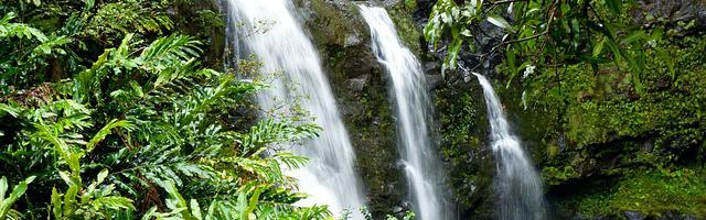 都市神醫葉辰很囂張_第915章 項英杰的憤怒！（三更）