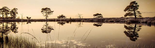 都市神醫葉辰很囂張_第371章 給我留下！（三更！）