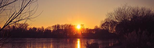 都市神醫葉辰很囂張_第 11976 章 石化