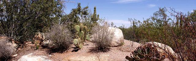 都市神醫葉辰很囂張_第12137章 病癥