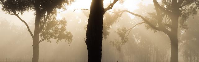 都市神醫葉辰很囂張_第197章 一個血字！（五更，求推薦票！）
