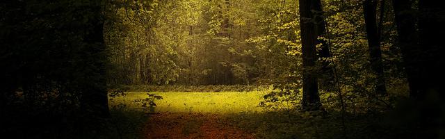 史上最牛掌門系統繁體免費章節，邀您共賞