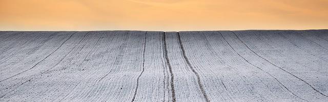 賜錯姻緣嫁對郎（gl）繁體免費章節免費享，期待您的品鑒