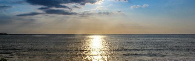 都市神醫葉辰很囂張_第 11959 章 瘋狂的主宰