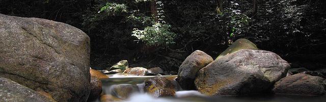 謝邀！高考棄權，我已成神繁體免費章節免費享，期待您的品鑒