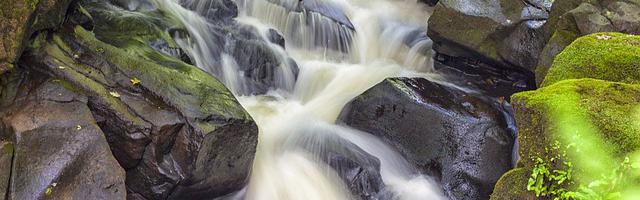 上門龍婿葉辰蕭初然_第3355章 多去了解了解他