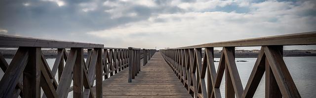 斗羅之皇龍驚世繁體免費章節免費享，期待您的品鑒