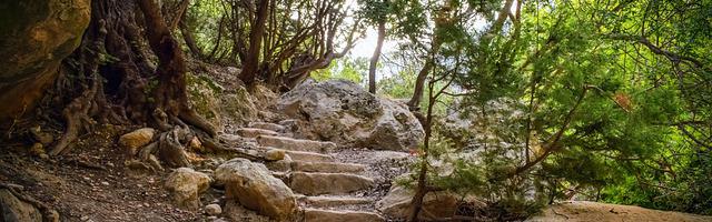 都市神醫葉辰很囂張_第12127章 暗藏殺機