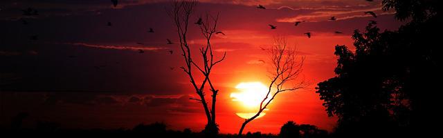 都市神醫葉辰很囂張_第 11888 章 黑海