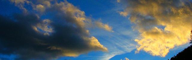 都市神醫葉辰很囂張_第12262章 瘋子（三章合一）