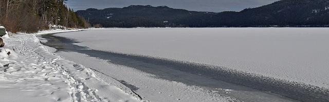 王者青道繁體免費章節免費享，期待您的品鑒