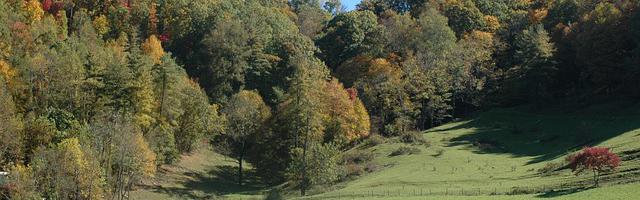 于是我去了斗羅繁體免費章節免費享，期待您的品鑒