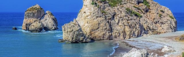 上門龍婿葉辰蕭初然_第3303章 你負全責！