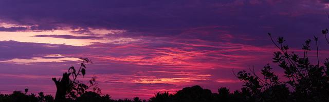 都市神醫葉辰很囂張_第11491章 這個瘋子