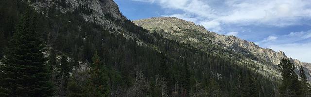 上門龍婿葉辰蕭初然_第3114章 一看一個不出聲