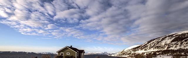 都市神醫葉辰很囂張_第12126章 最佳機會