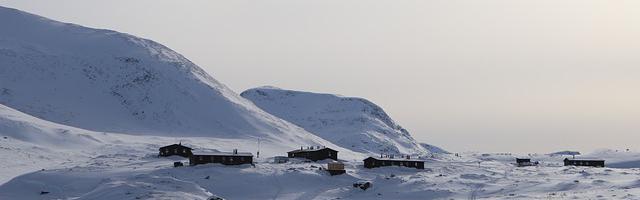 上門龍婿葉辰蕭初然_第234章 秦傲雪的請求