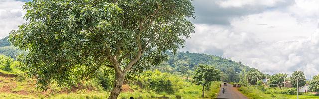 上門龍婿葉辰蕭初然_第3070章 彎道超車