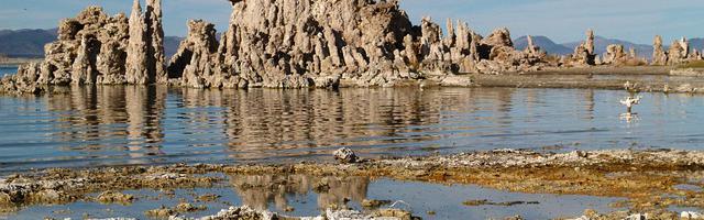 都市神醫葉辰很囂張_第12133章 天門開！