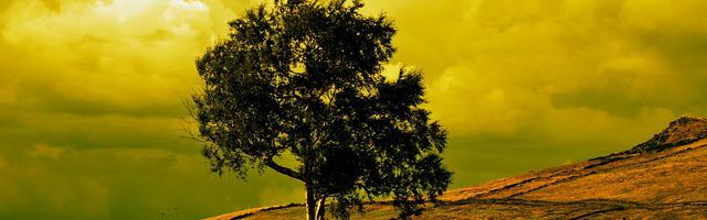 快穿宿主虐渣了繁體免費章節，邀您共賞