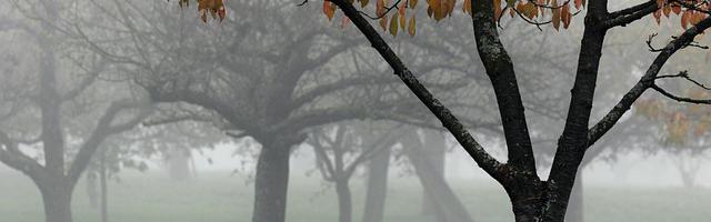 都市神醫葉辰很囂張_第12307章 包容