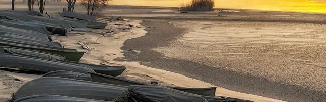 侏羅紀求生：我能百倍增幅繁體免費章節，邀您共賞