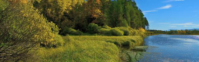 都市神醫葉辰很囂張_第431章 戰書！（五更！）