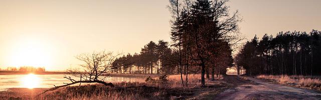 都市神醫葉辰很囂張_第12100章 我的手段