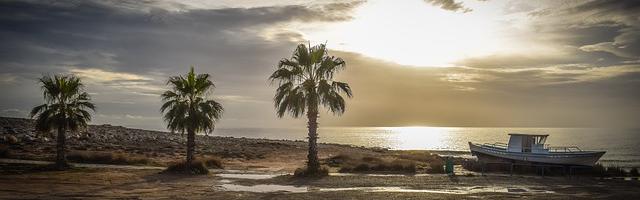 都市神醫葉辰很囂張_第248章 一念之間！（一更！）