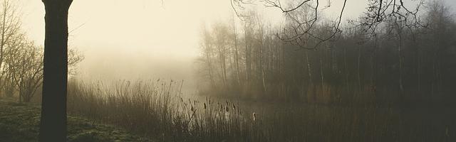 上門龍婿葉辰蕭初然_第2679章 長眠塞浦路斯