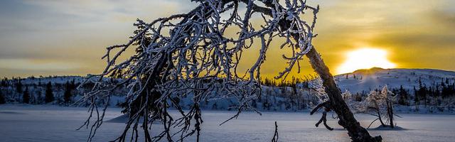 上門龍婿葉辰蕭初然_第66章 神秘的董事長！