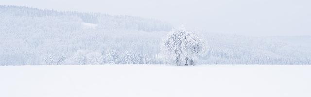 上門龍婿葉辰蕭初然_第3358章 官宣！