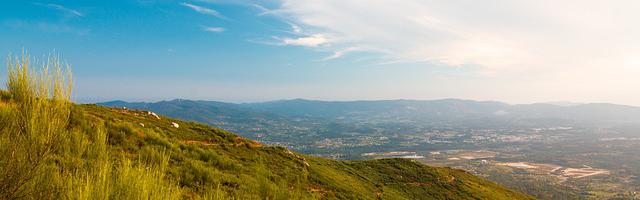 上門龍婿葉辰蕭初然_第14章 我是神級富豪