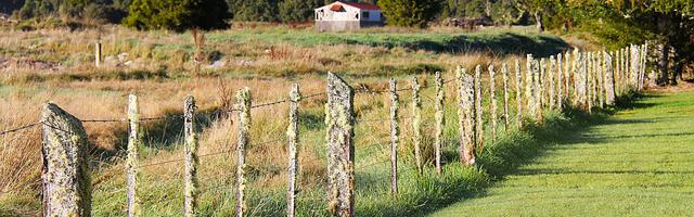 都市神醫葉辰很囂張_第12088章 下一次？