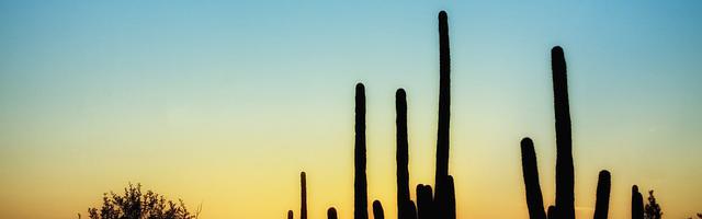 上門龍婿葉辰蕭初然_第852章 天公不作美