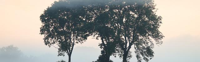 上門龍婿葉辰蕭初然_第2947章 硬到死！