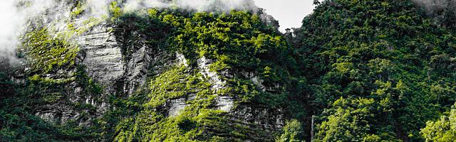 異星遺跡獵人繁體免費章節，邀您共賞