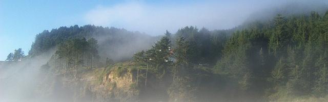 都市神醫葉辰很囂張_第12136章 恐怖的力量