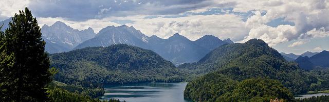 上門龍婿葉辰蕭初然_第2568章 佛祖保佑