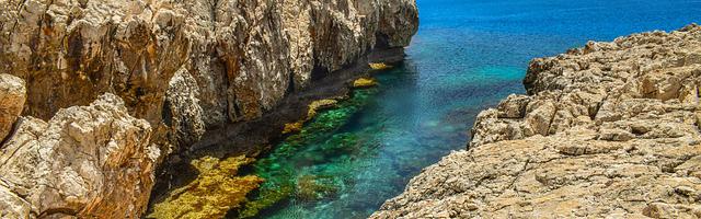 都市神醫葉辰很囂張_第12178章 接納！