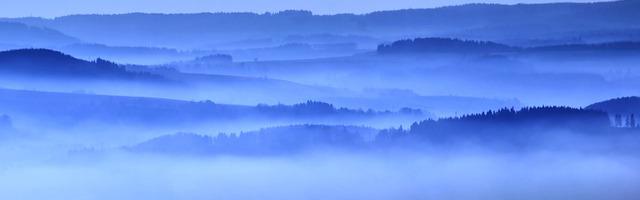 上門龍婿葉辰蕭初然_第2985章 無罪釋放